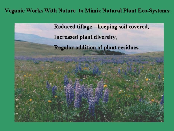 Veganic Works With Nature to Mimic Natural Plant Eco-Systems: Reduced tillage – keeping soil