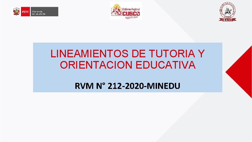LINEAMIENTOS DE TUTORIA Y ORIENTACION EDUCATIVA RVM N° 212 -2020 -MINEDU 