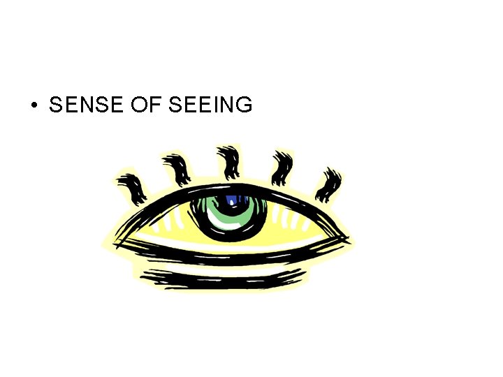  • SENSE OF SEEING 