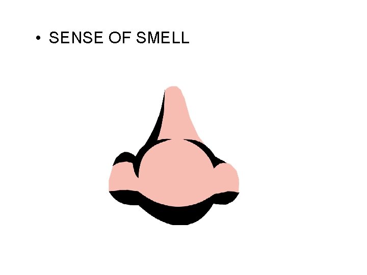  • SENSE OF SMELL 