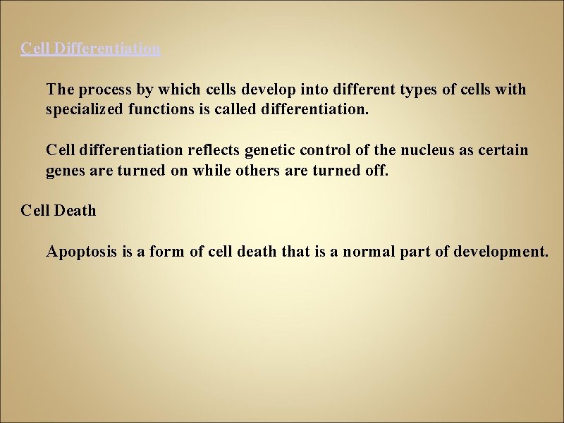 Cell Differentiation The process by which cells develop into different types of cells with