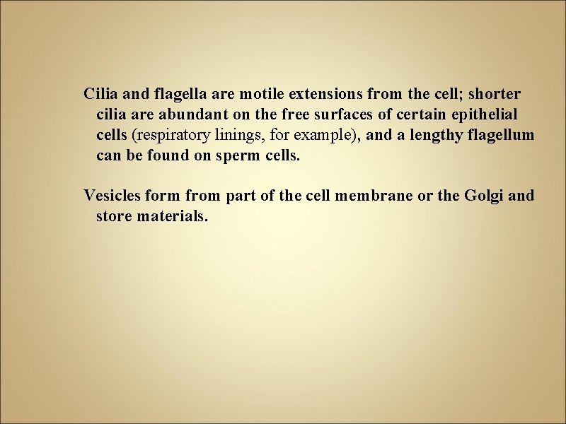 Cilia and flagella are motile extensions from the cell; shorter cilia are abundant on