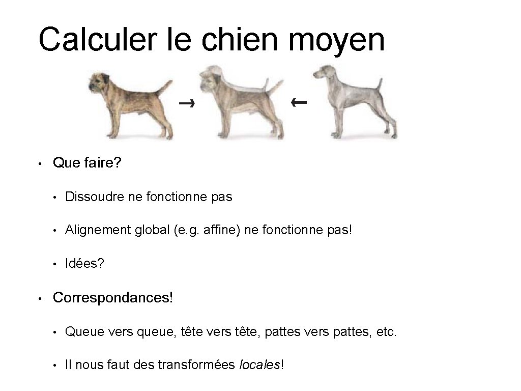 Calculer le chien moyen • • Que faire? • Dissoudre ne fonctionne pas •