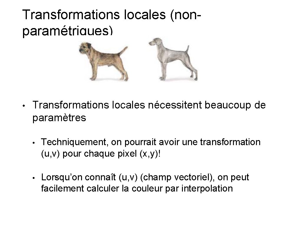Transformations locales (nonparamétriques) • Transformations locales nécessitent beaucoup de paramètres • Techniquement, on pourrait