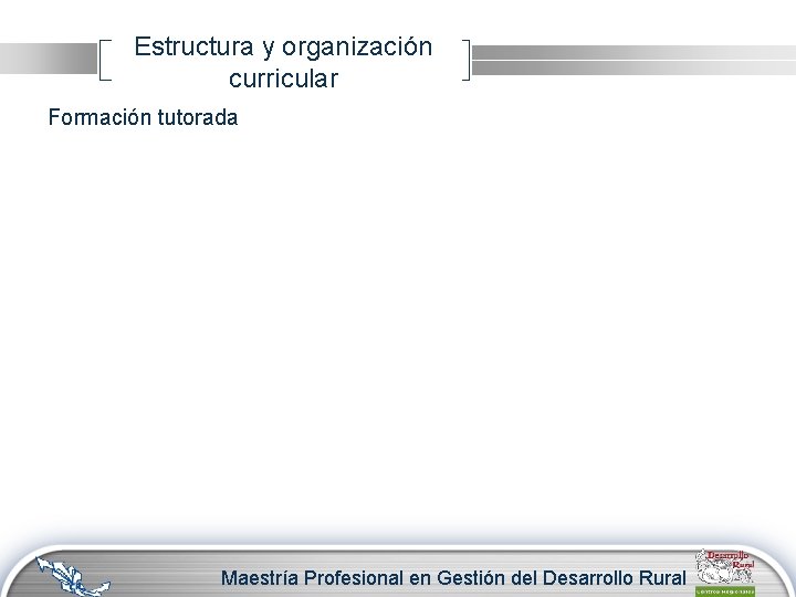 Estructura y organización curricular Formación tutorada Maestría Profesional en Gestión del Desarrollo Rural 