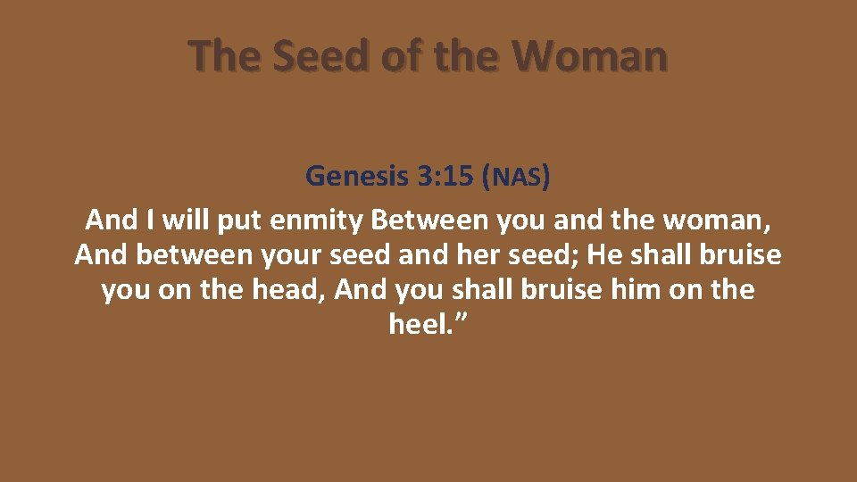 The Seed of the Woman Genesis 3: 15 (NAS) And I will put enmity