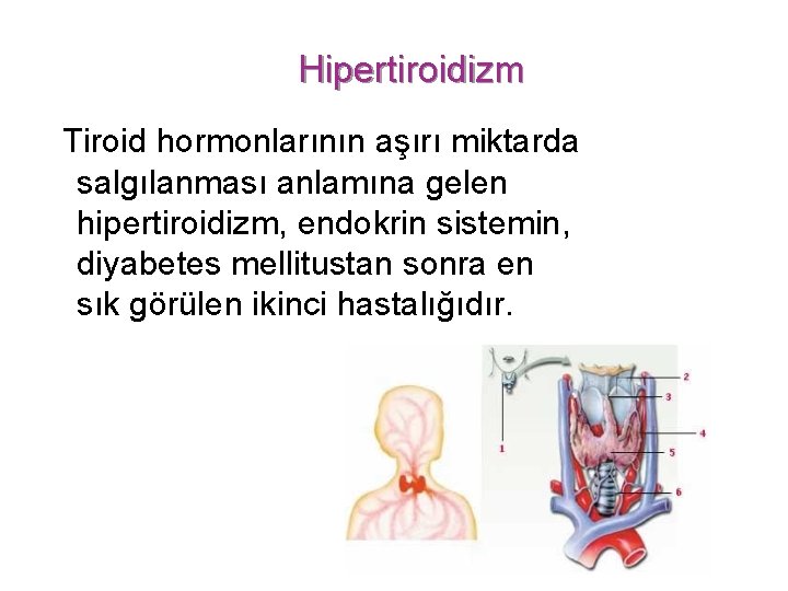 Hipertiroidizm Tiroid hormonlarının aşırı miktarda salgılanması anlamına gelen hipertiroidizm, endokrin sistemin, diyabetes mellitustan sonra