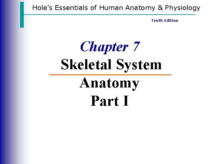 Hole’s Essentials of Human Anatomy & Physiology Tenth Edition Chapter 7 Skeletal System Anatomy