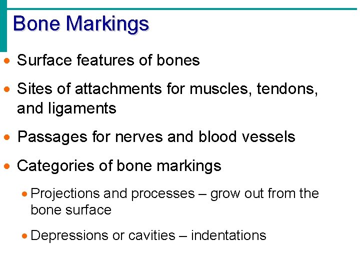 Bone Markings · Surface features of bones · Sites of attachments for muscles, tendons,