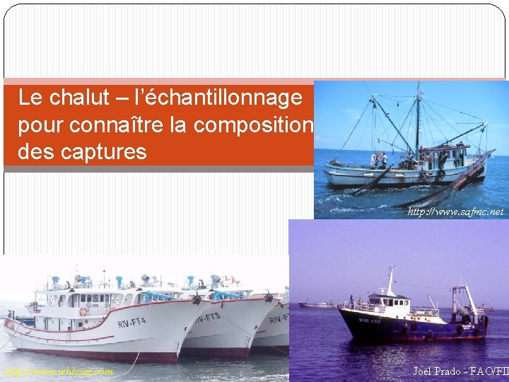 Le chalut – l’échantillonnage pour connaître la composition des captures http: //www. safmc. net