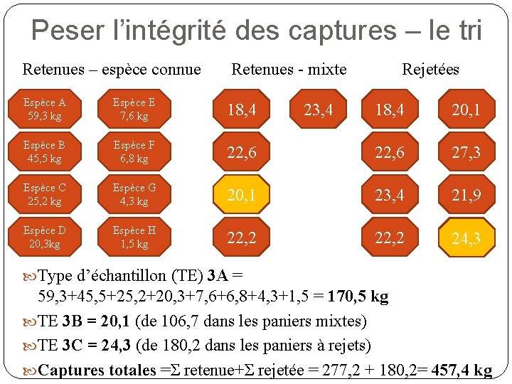 Peser l’intégrité des captures – le tri Retenues – espèce connue Retenues - mixte