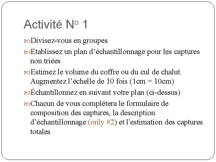 Activité No 1 Divisez-vous en groupes Etablissez un plan d’échantillonnage pour les captures non