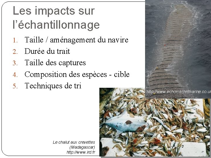 Les impacts sur l’échantillonnage 1. Taille / aménagement du navire 2. Durée du trait