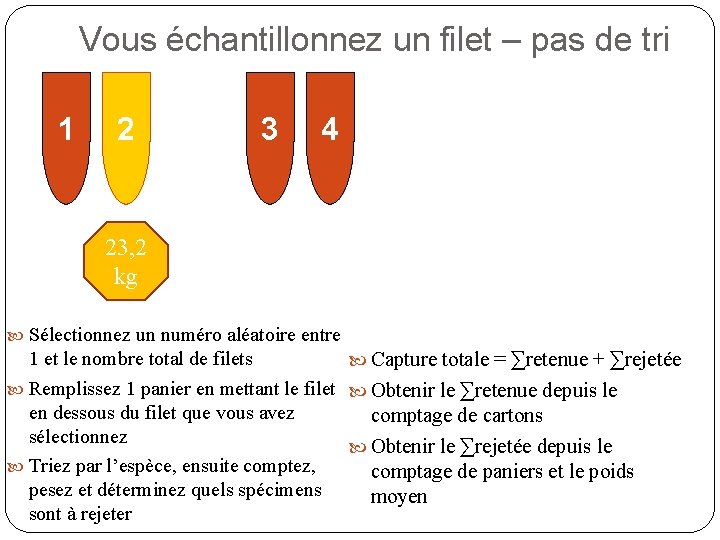 Vous échantillonnez un filet – pas de tri 1 2 3 4 23, 2