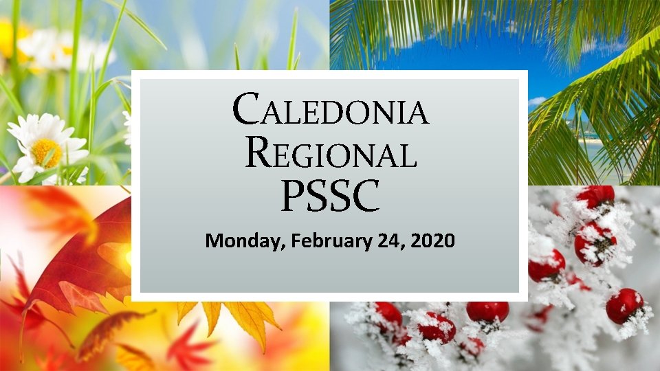 CALEDONIA REGIONAL PSSC Monday, February 24, 2020 