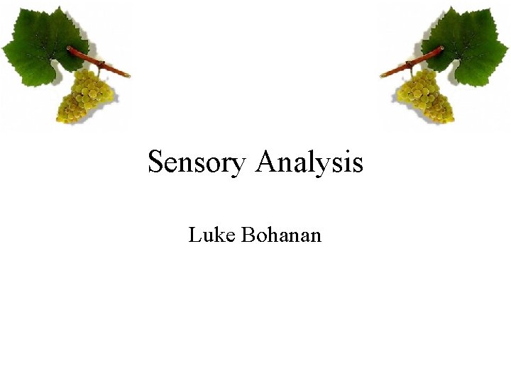 Sensory Analysis Luke Bohanan 