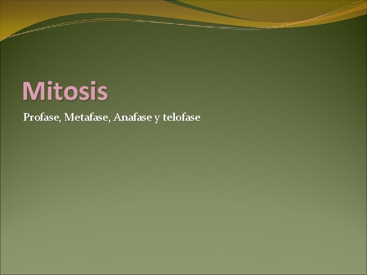 Mitosis Profase, Metafase, Anafase y telofase 