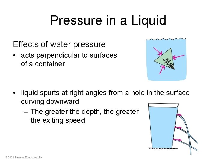 Pressure in a Liquid Effects of water pressure • acts perpendicular to surfaces of