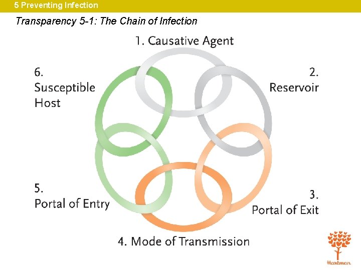 5 Preventing Infection Transparency 5 -1: The Chain of Infection 