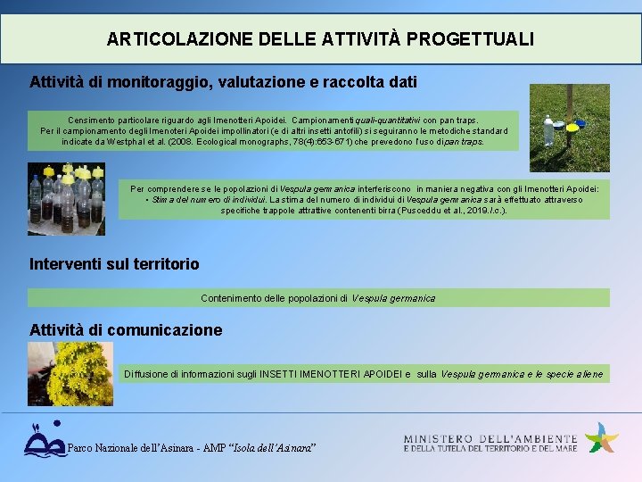 ARTICOLAZIONE DELLE ATTIVITÀ PROGETTUALI Attività di monitoraggio, valutazione e raccolta dati Censimento particolare riguardo