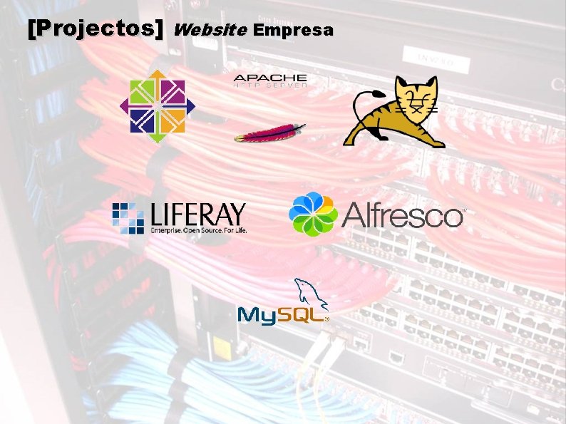 [Projectos] Website Empresa 