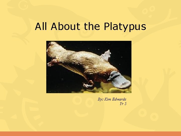 All About the Platypus By: Kim Edwards Yr 5 