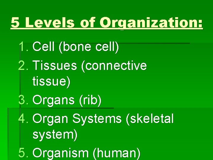 5 Levels of Organization: 1. Cell (bone cell) 2. Tissues (connective tissue) 3. Organs