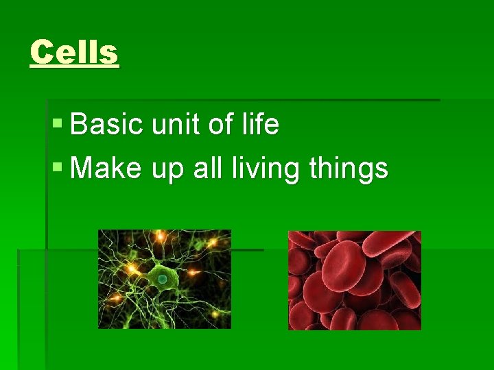 Cells § Basic unit of life § Make up all living things 