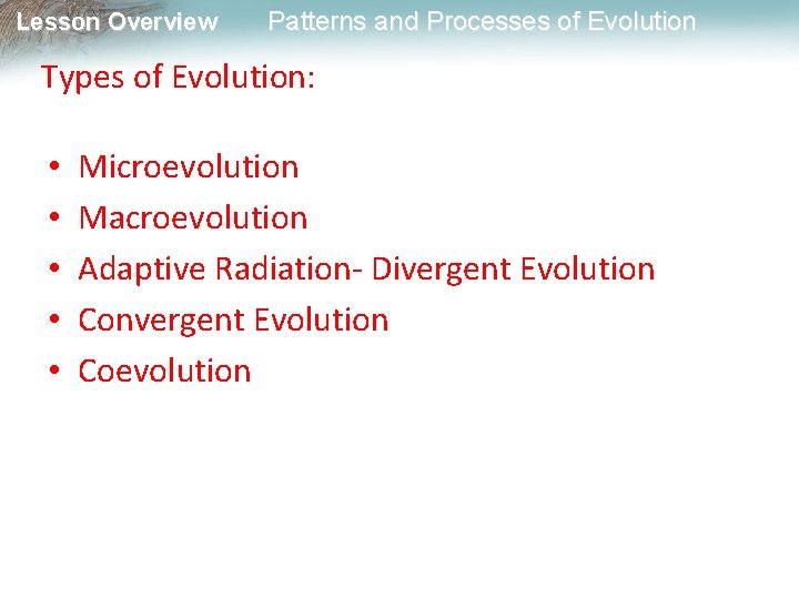 Lesson Overview Patterns and Processes of Evolution Types of Evolution: • • • Microevolution