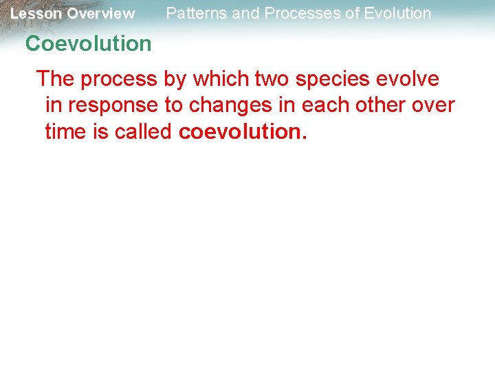 Lesson Overview Patterns and Processes of Evolution Coevolution The process by which two species