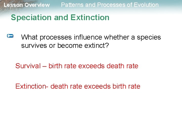 Lesson Overview Patterns and Processes of Evolution Speciation and Extinction What processes influence whether