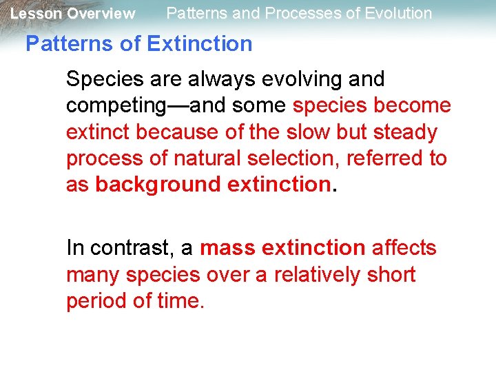 Lesson Overview Patterns and Processes of Evolution Patterns of Extinction Species are always evolving