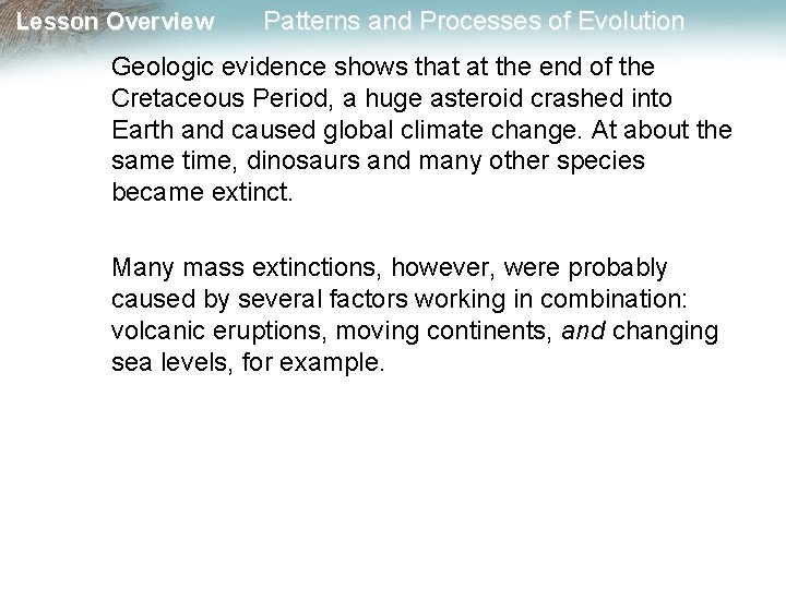 Lesson Overview Patterns and Processes of Evolution Geologic evidence shows that at the end