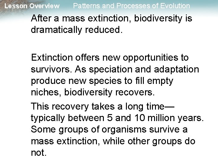 Lesson Overview Patterns and Processes of Evolution After a mass extinction, biodiversity is dramatically