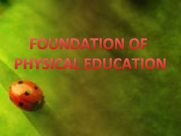 FOUNDATION OF PHYSICAL EDUCATION 