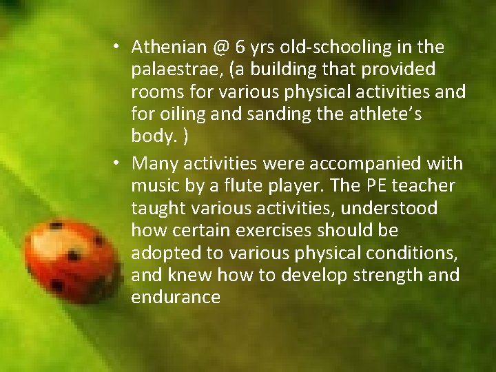 • Athenian @ 6 yrs old-schooling in the palaestrae, (a building that provided