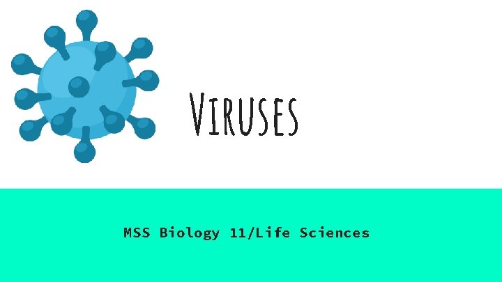Viruses MSS Biology 11/Life Sciences 