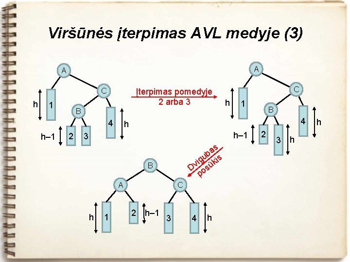 Viršūnės įterpimas AVL medyje (3) A A Įterpimas pomedyje 2 arba 3 C h