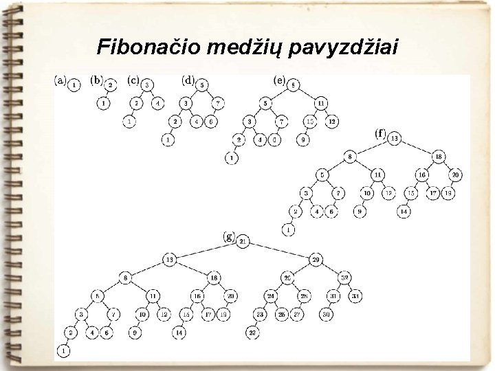 Fibonačio medžių pavyzdžiai 
