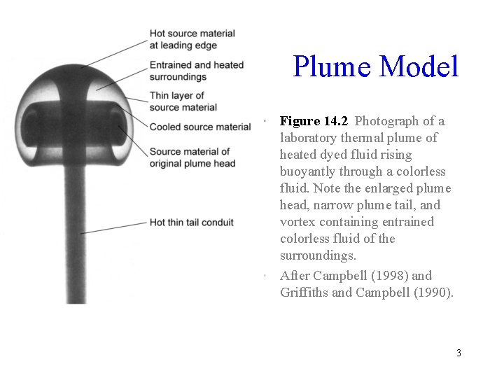 Plume Model • Figure 14. 2 Photograph of a laboratory thermal plume of heated