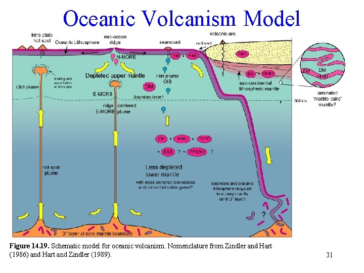 Oceanic Volcanism Model Figure 14. 19. Schematic model for oceanic volcanism. Nomenclature from Zindler