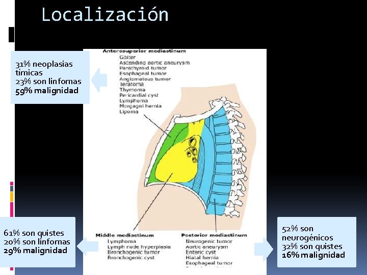 Localización 31% neoplasias tímicas 23% son linfomas 59% malignidad 61% son quistes 20% son