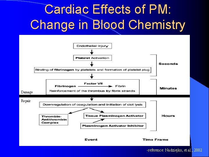 Cardiac Effects of PM: Change in Blood Chemistry Damage Repair -reference: Nadziejko, et al.