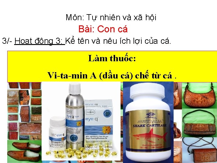 Môn: Tự nhiên và xã hội Bài: Con cá 3/- Hoạt động 3: Kể Môn: Tự nhiên và xã hội Bài: Con cá 3/- Hoạt động 3: Kể