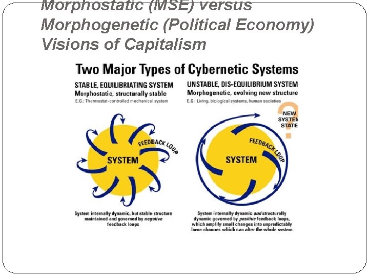 Morphostatic (MSE) versus Morphogenetic (Political Economy) Visions of Capitalism 