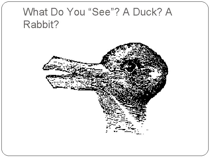 What Do You “See”? A Duck? A Rabbit? 