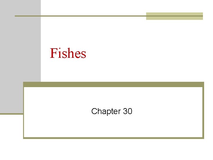 Fishes Chapter 30 Fishes Chapter 30