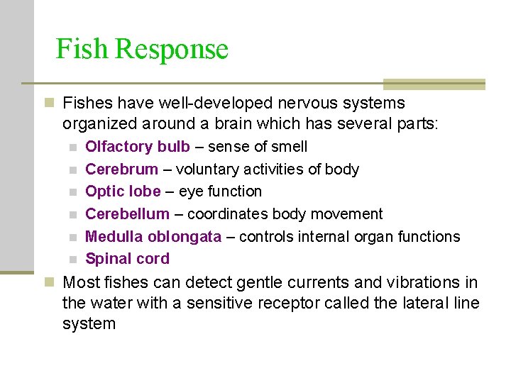 Fish Response n Fishes have well-developed nervous systems organized around a brain which has Fish Response n Fishes have well-developed nervous systems organized around a brain which has