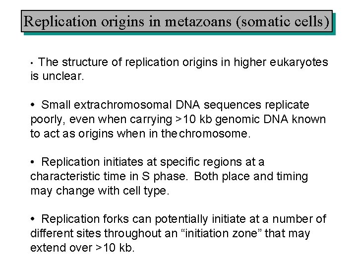 Replication origins in metazoans (somatic cells) The structure of replication origins in higher eukaryotes