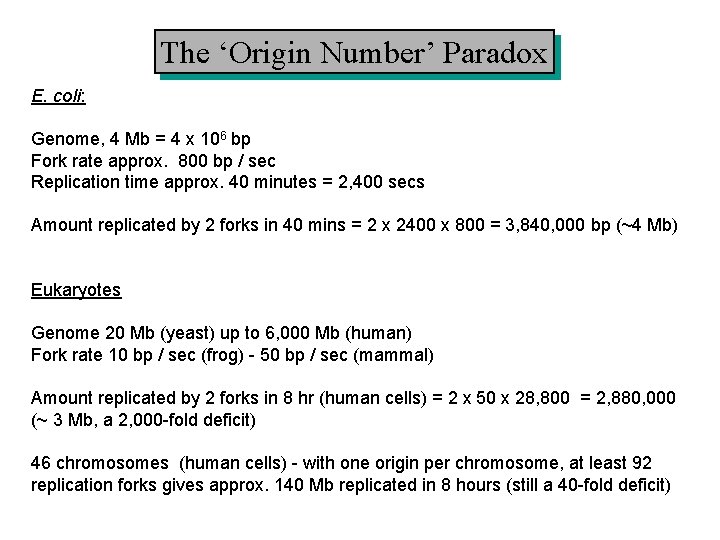 The ‘Origin Number’ Paradox E. coli: Genome, 4 Mb = 4 x 106 bp